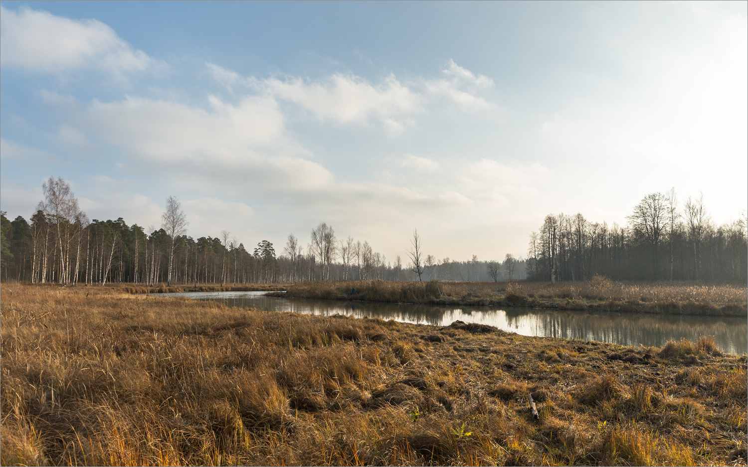 Парк "Зверинец", image of landscape/habitat.