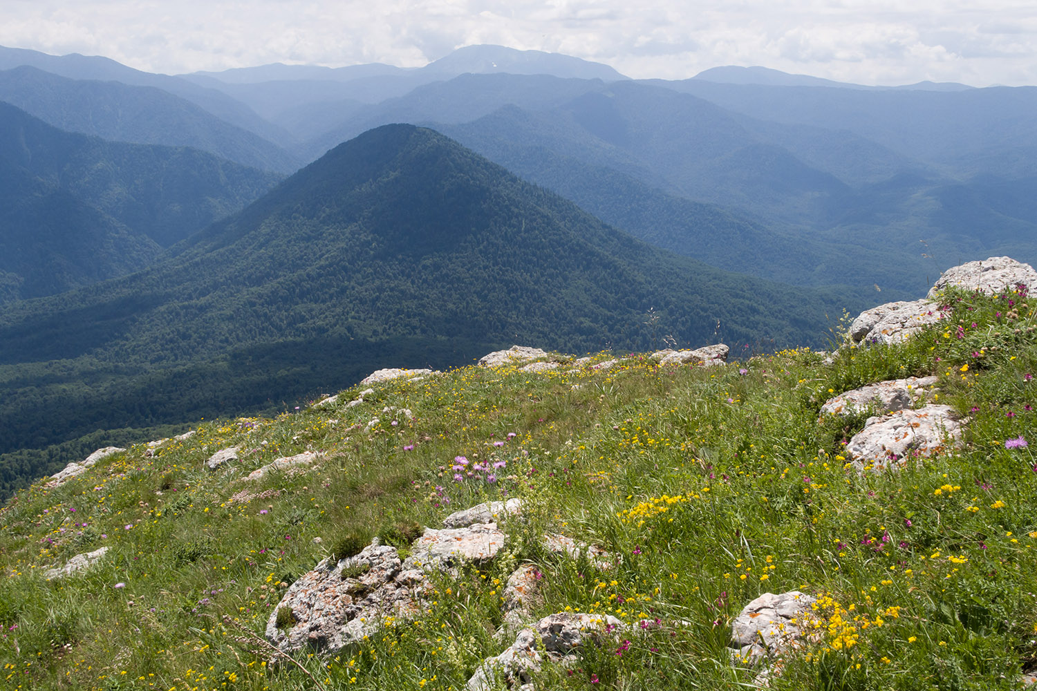 Черногор, image of landscape/habitat.