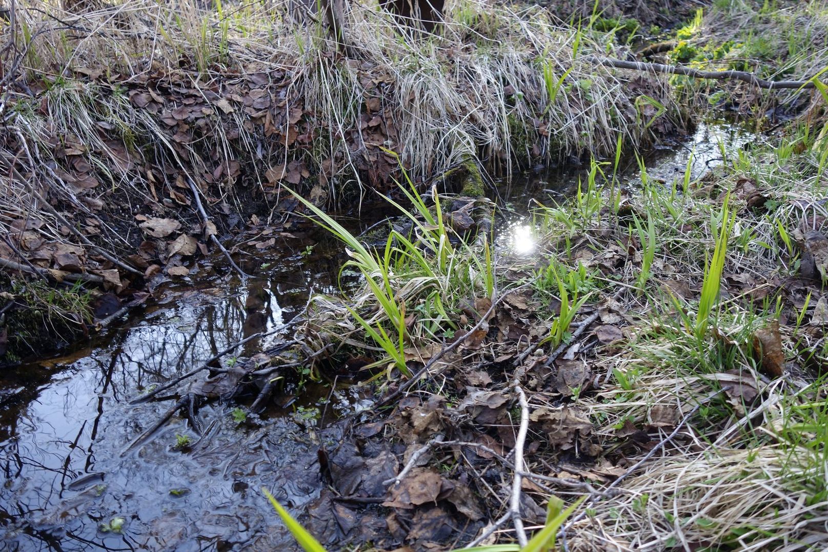 Омулёвый, image of landscape/habitat.