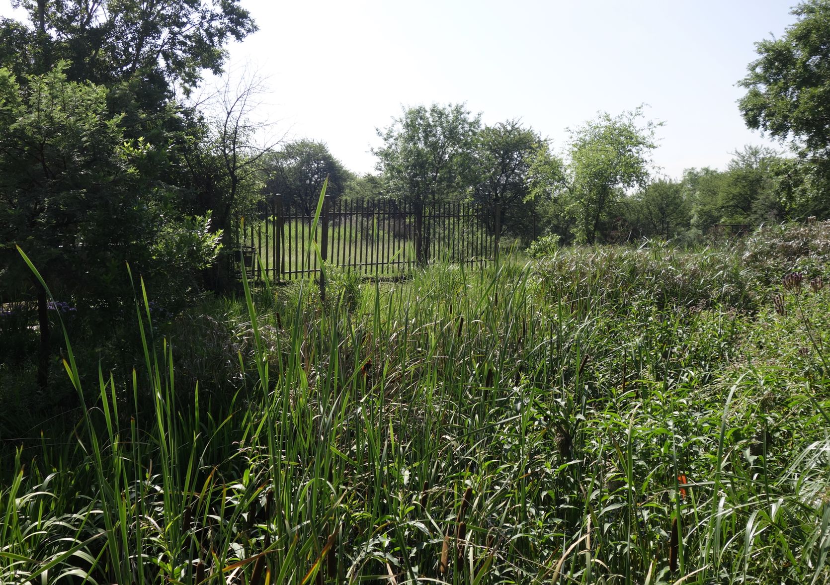 Клиприверсберг, image of landscape/habitat.