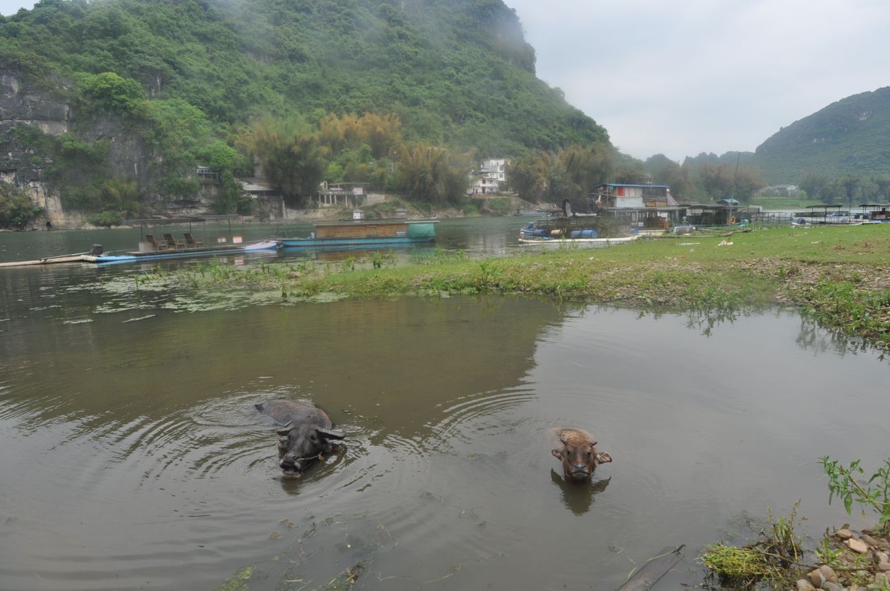Деревня Дуто, image of landscape/habitat.