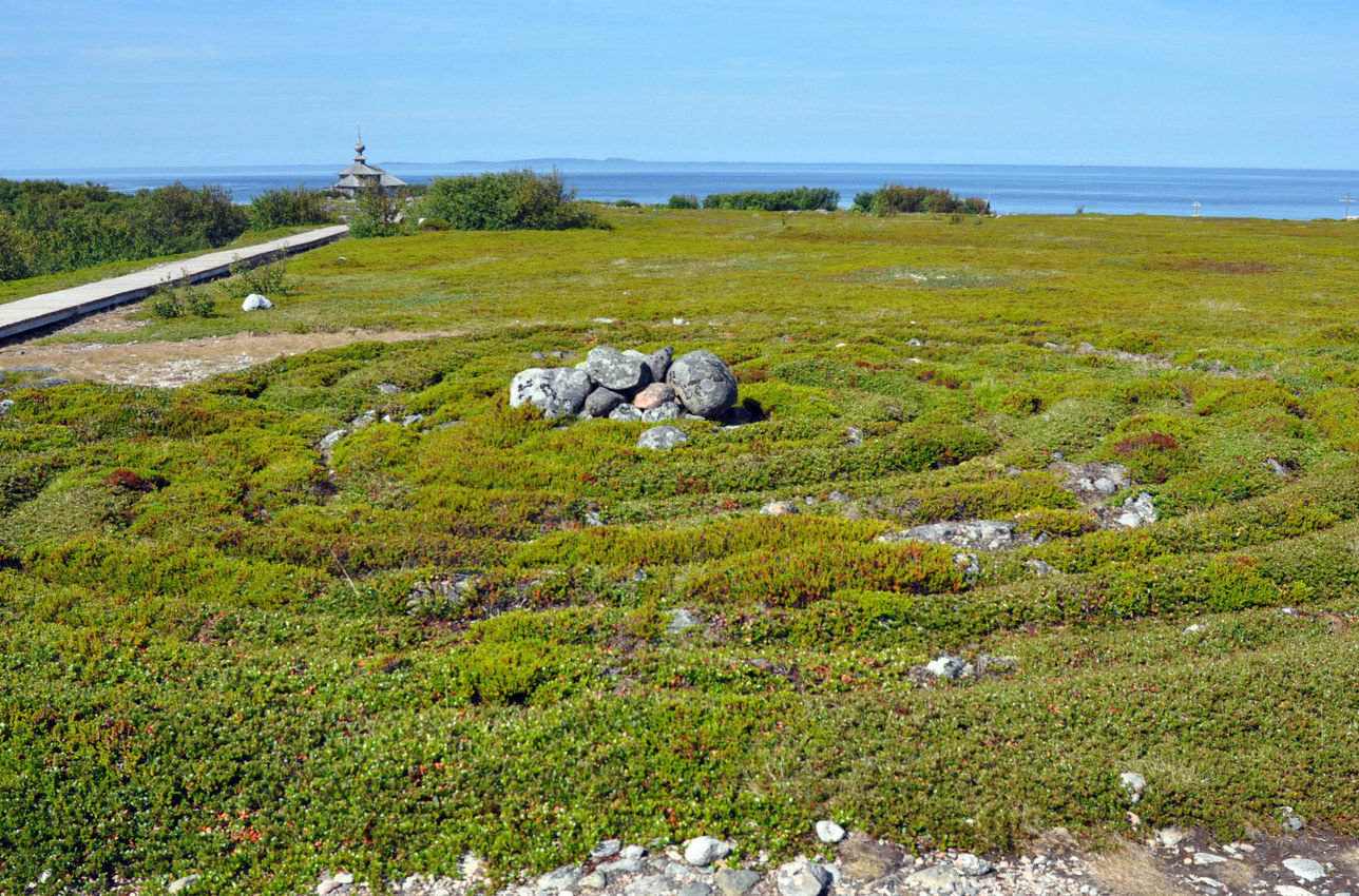 Большой Заяцкий остров, image of landscape/habitat.
