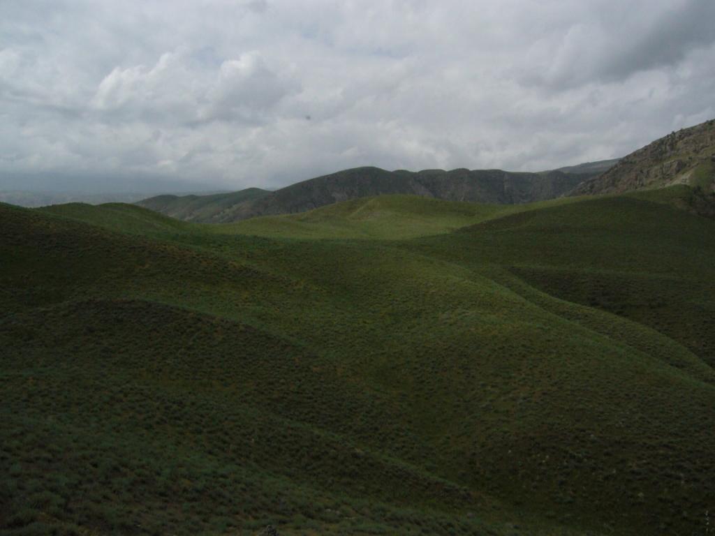 Копетдаг, Чули (Гокдере), image of landscape/habitat.