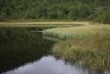 Image of landscape