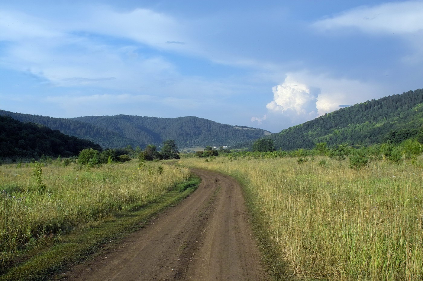 Ширяево, image of landscape/habitat.