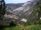 Image of landscape