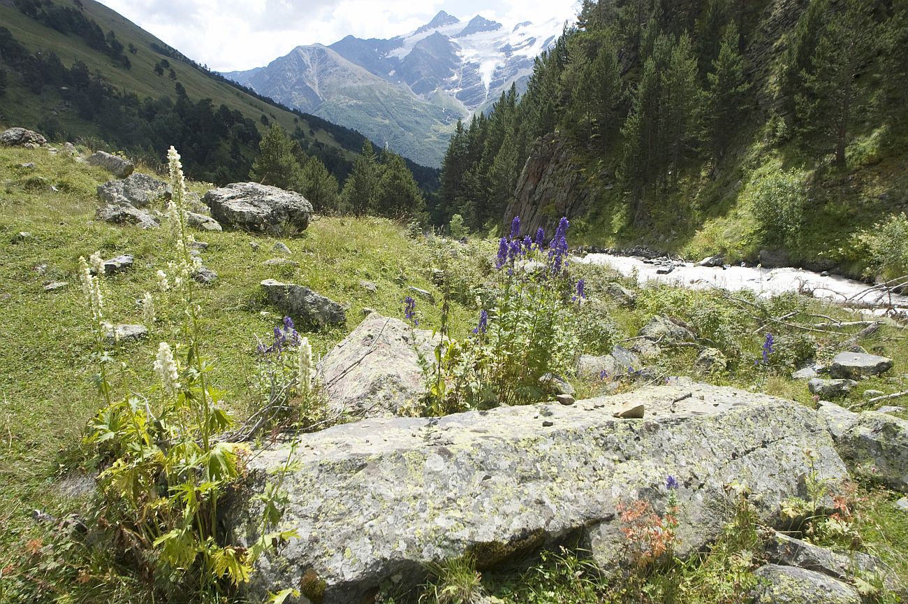 Долина реки Терскол, image of landscape/habitat.