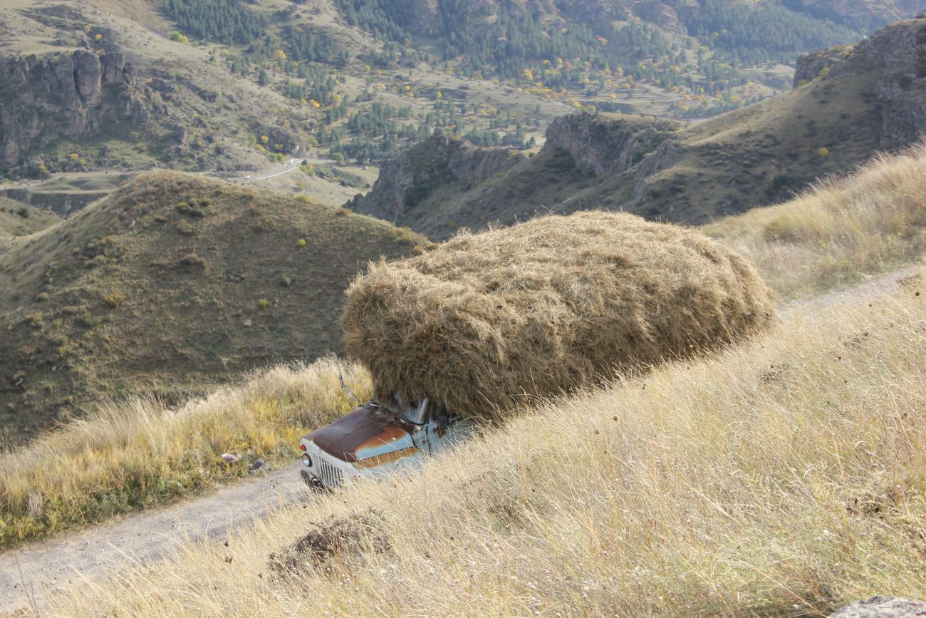 Окрестности горы Диди-Сери, изображение ландшафта.