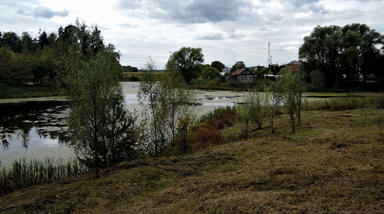 Захарово, image of landscape/habitat.