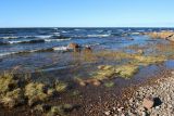 Шепелёвский маяк, image of landscape/habitat.