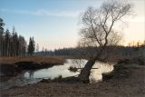 Парк "Зверинец", image of landscape/habitat.