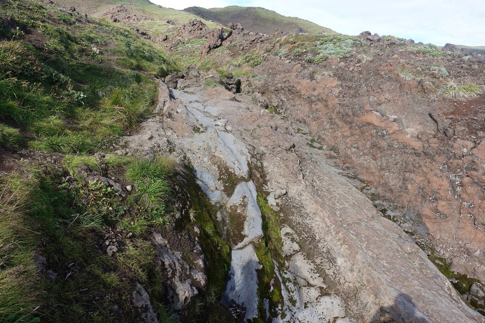 Вулкан Горелый, image of landscape/habitat.