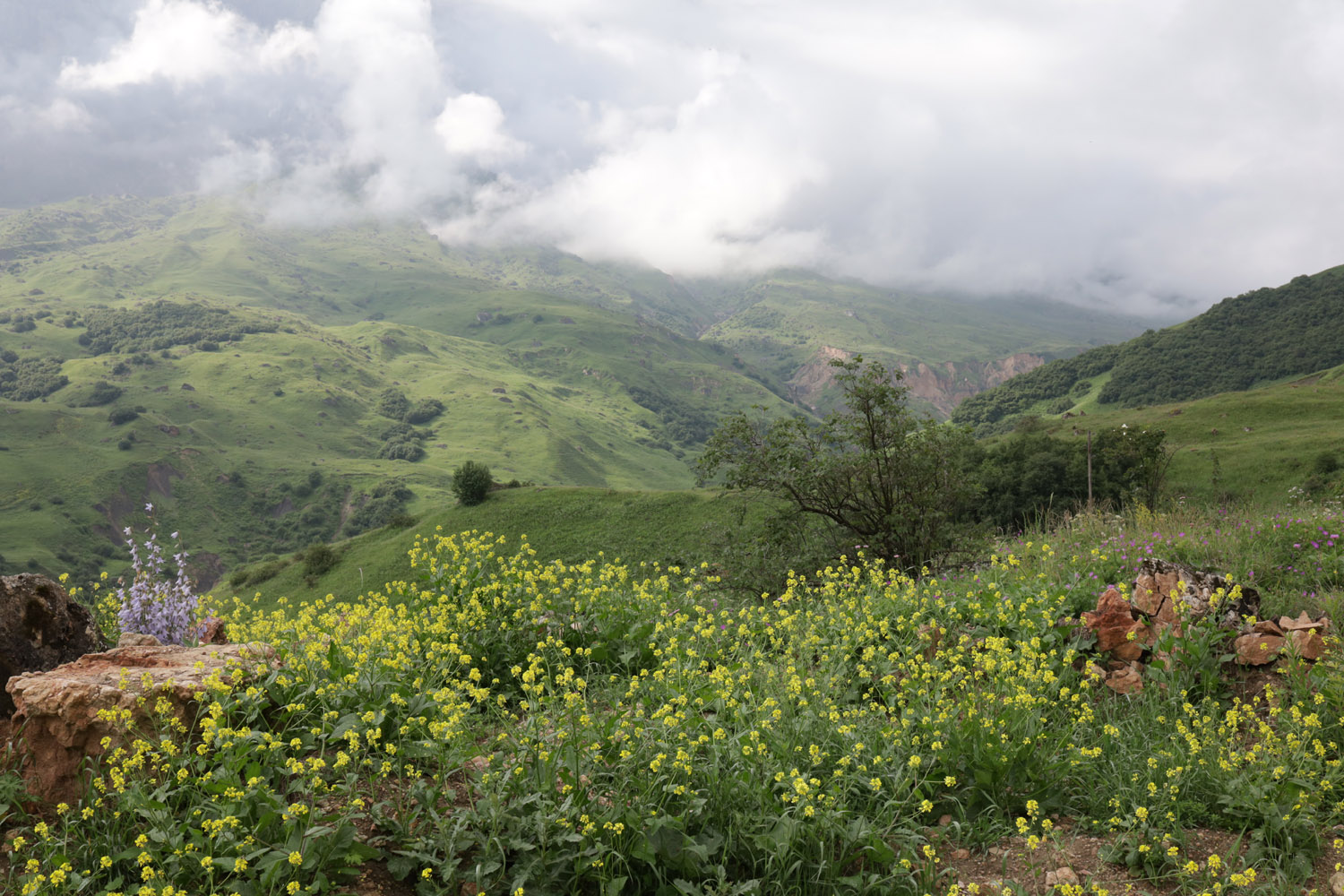 Текипиркент, image of landscape/habitat.