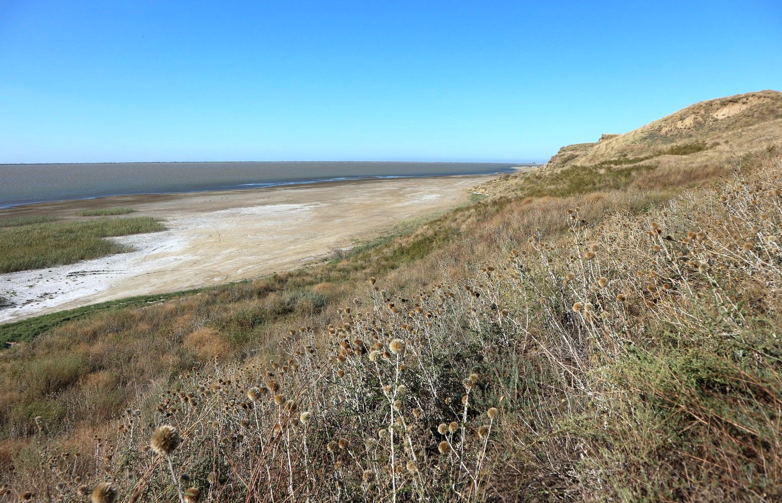 Витязевский лиман, image of landscape/habitat.