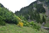 Image of landscape