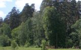 Image of landscape