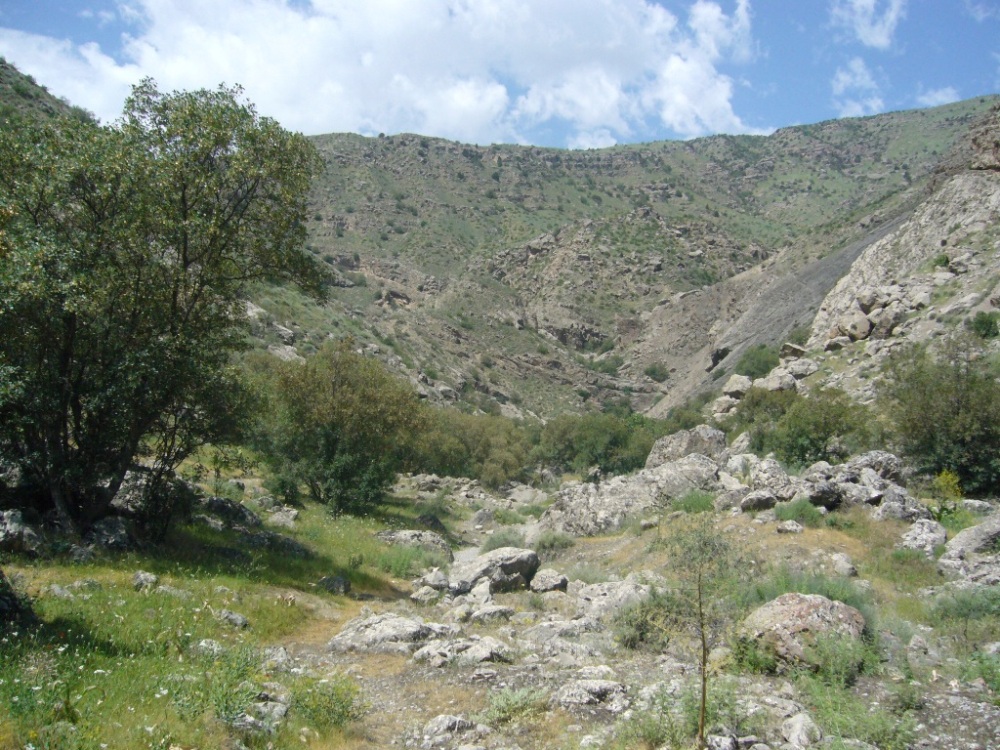 Копетдаг, Чули (Гокдере), image of landscape/habitat.