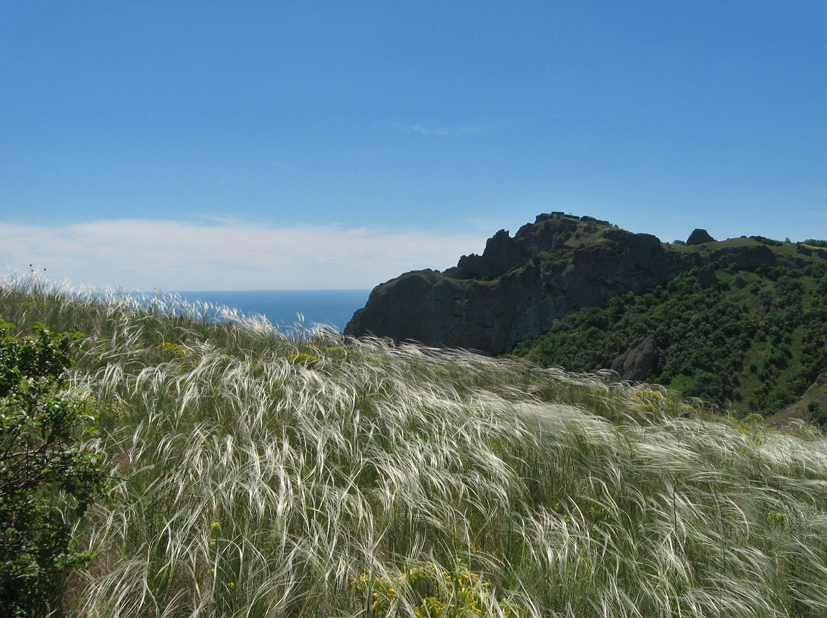 Карадаг, image of landscape/habitat.