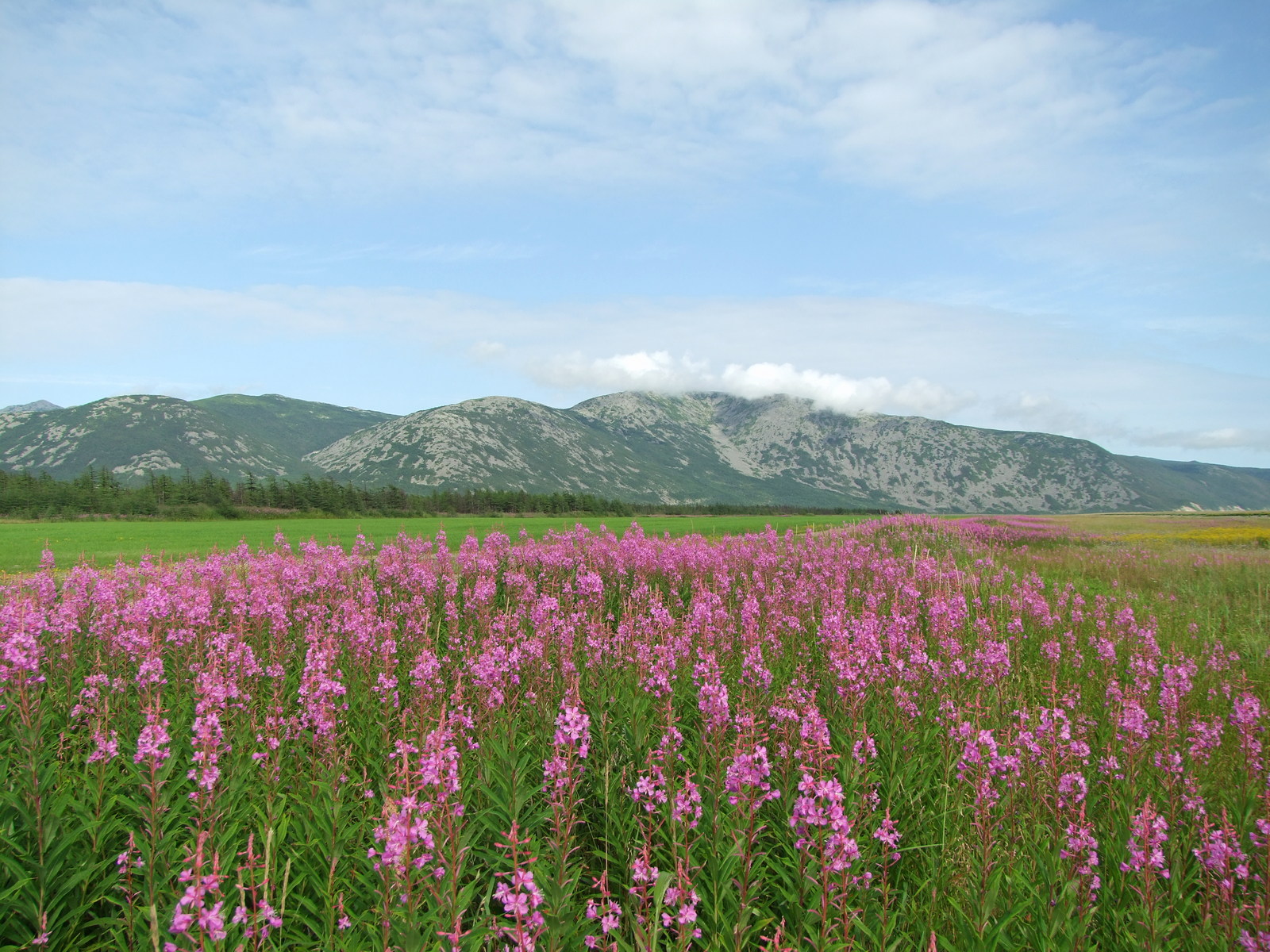 Арманское побережье, image of landscape/habitat.