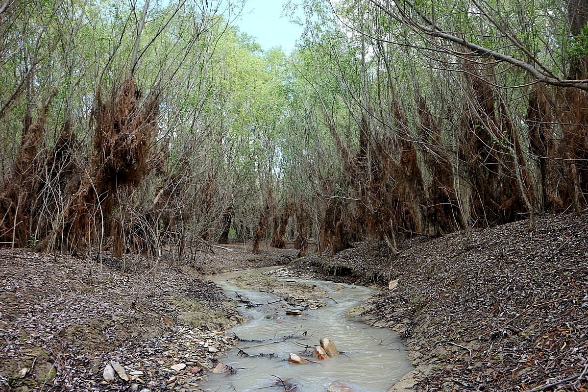 Среднее течение р. Озерейка, image of landscape/habitat.