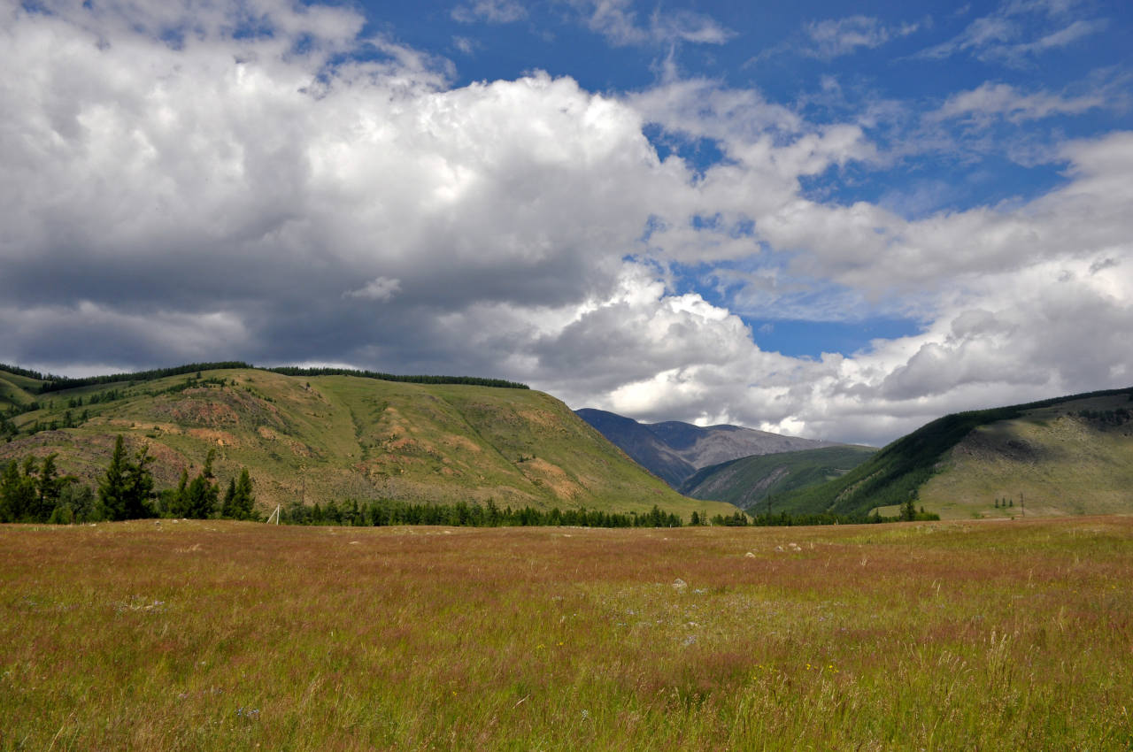 Устье реки Тыдтугем, image of landscape/habitat.