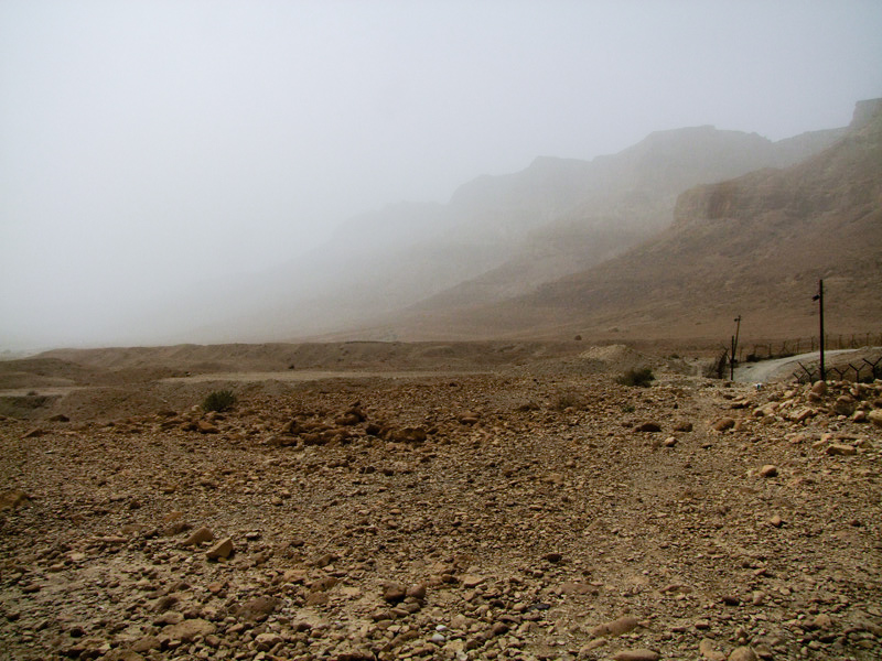 Эйн-Геди, image of landscape/habitat.