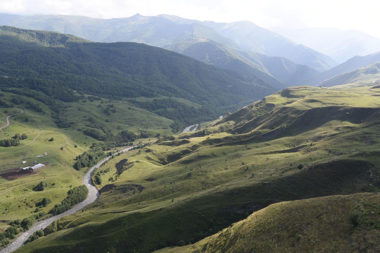 Шарой, image of landscape/habitat.