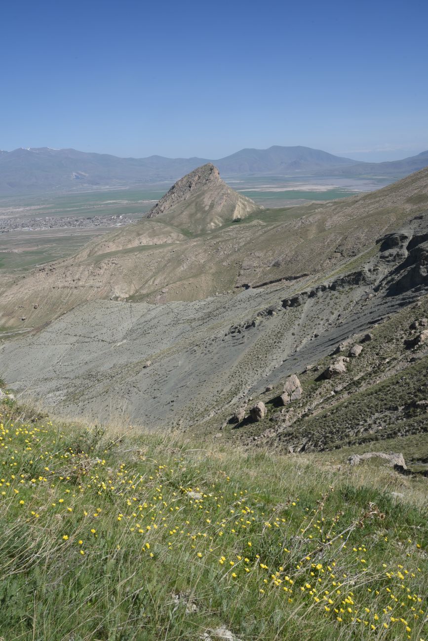Окрестности дворца Исхак-паши, image of landscape/habitat.