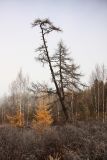 Image of landscape