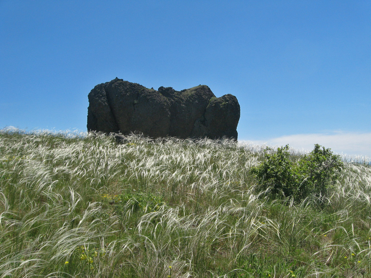 Карадаг, image of landscape/habitat.