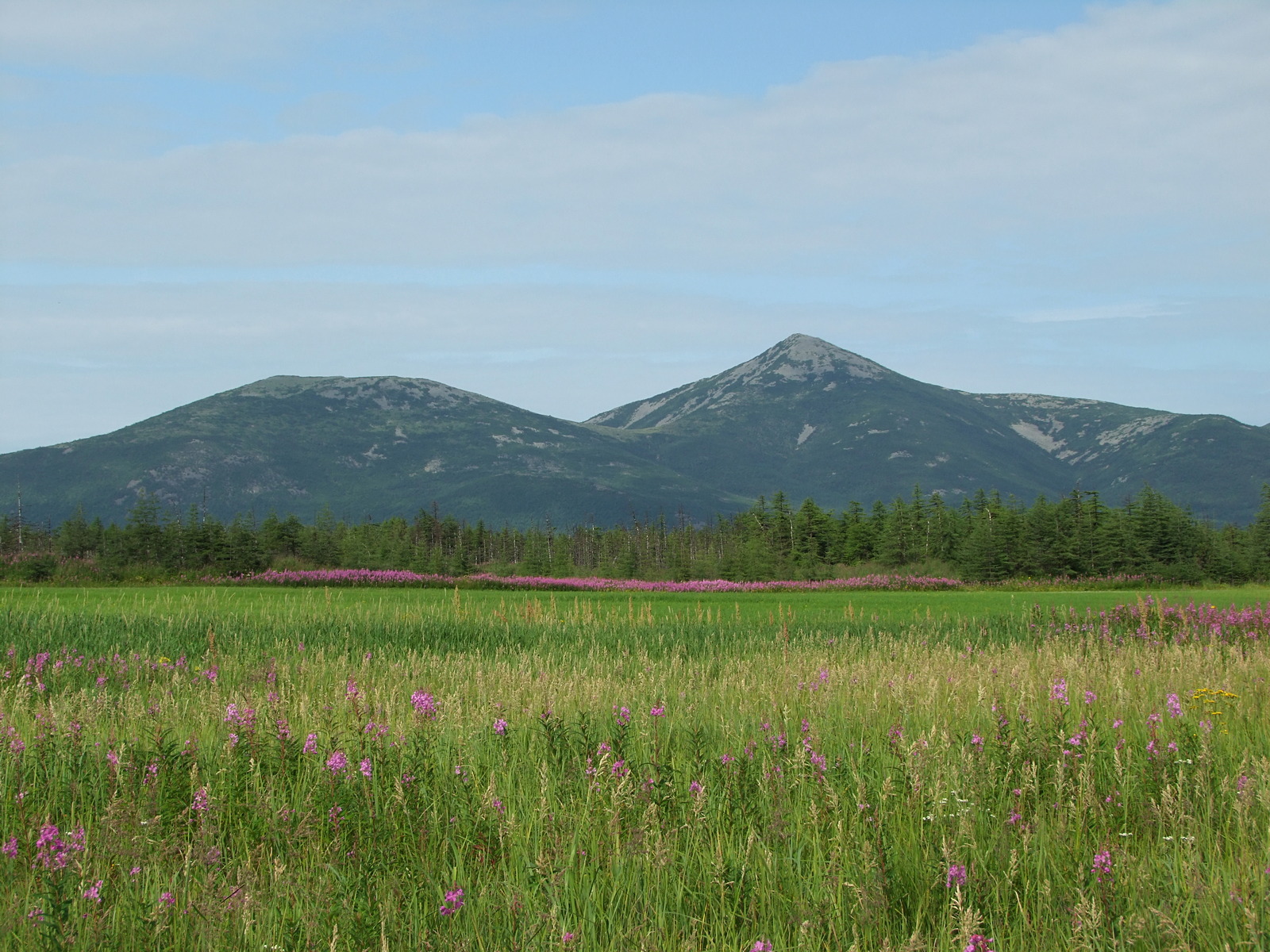 Арманское побережье, image of landscape/habitat.