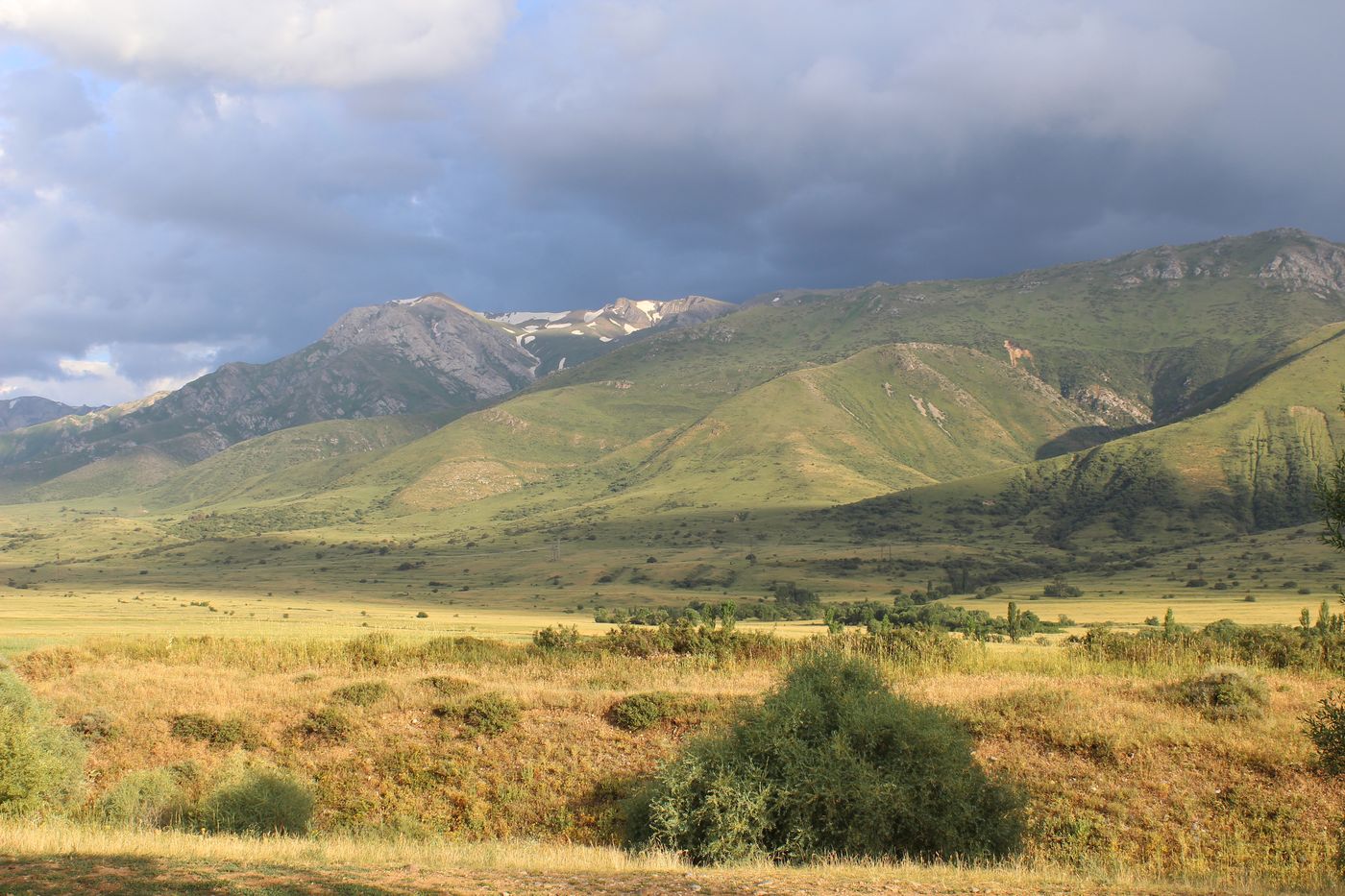 Окрестности с. Жабаглы, image of landscape/habitat.