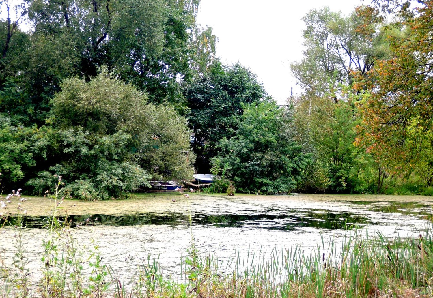 Захарово, image of landscape/habitat.