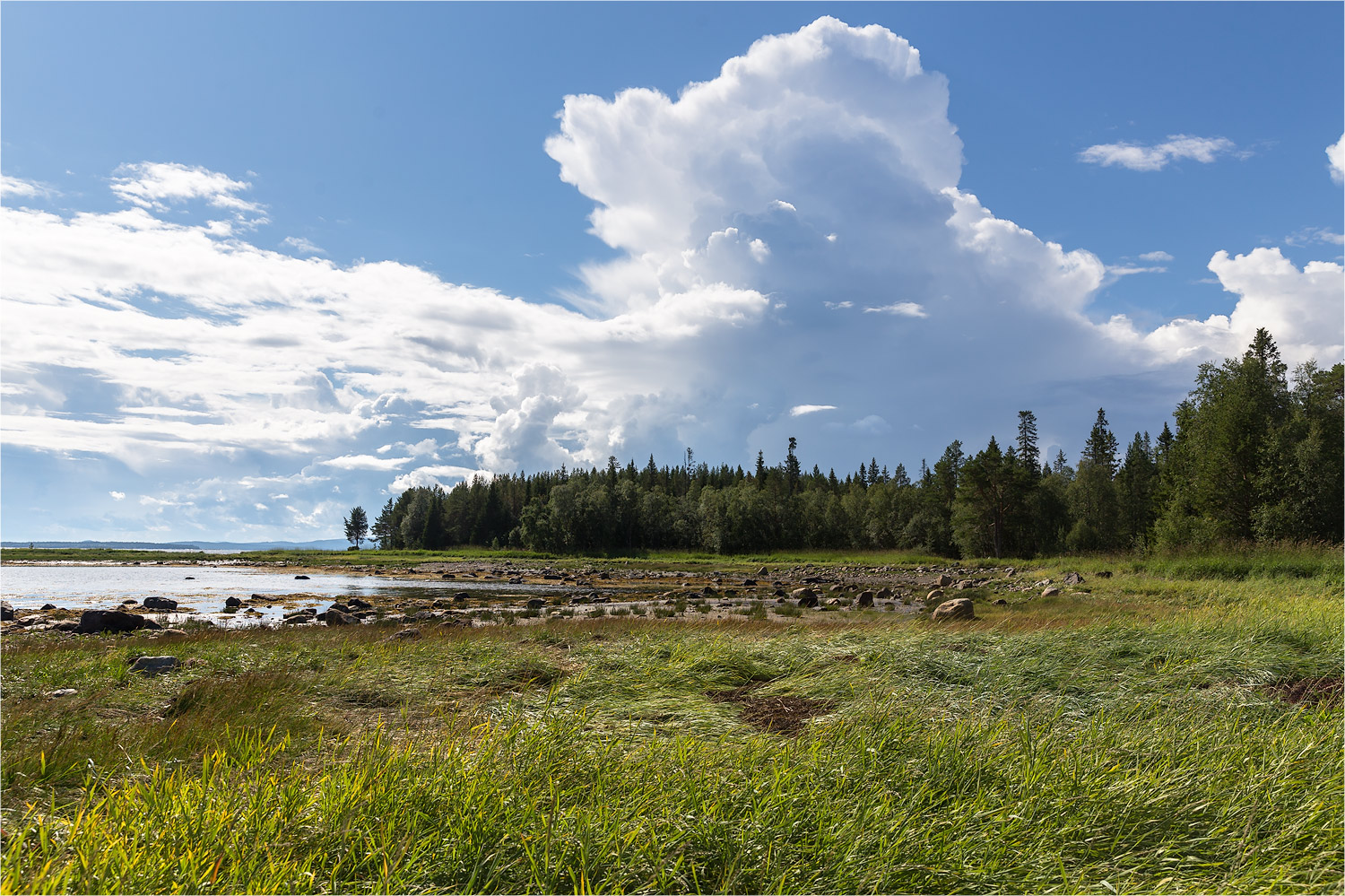 Кандалакша и окрестности, image of landscape/habitat.