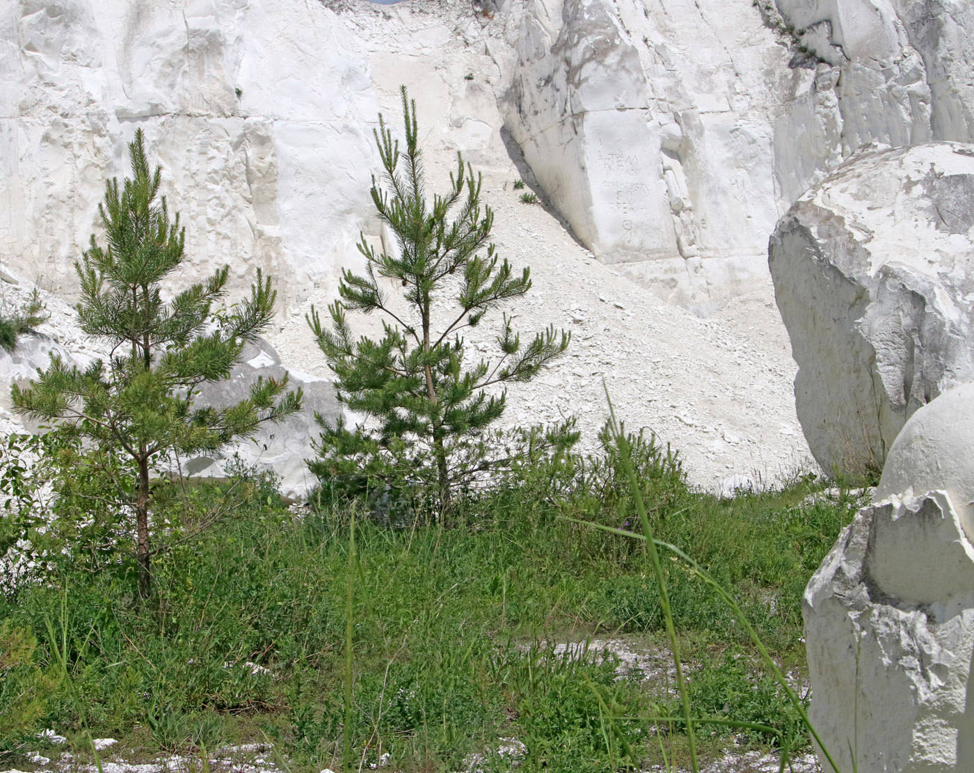 Маломихайловка, image of landscape/habitat.