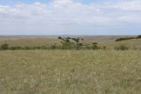 Природный парк «Белая скала», image of landscape/habitat.