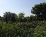 Клиприверсберг, image of landscape/habitat.