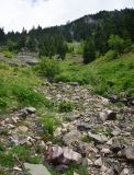 Image of landscape