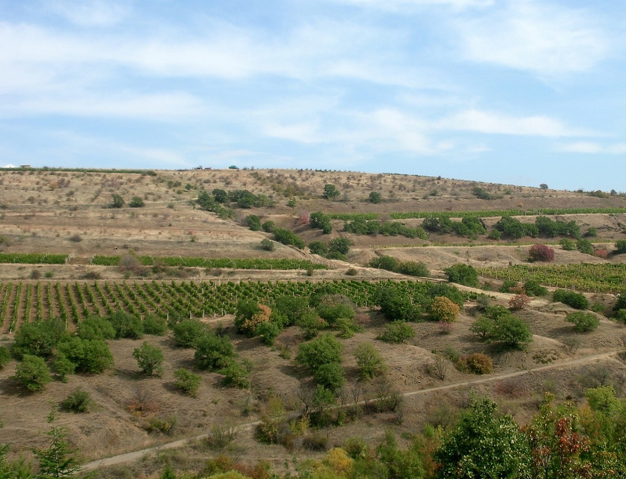 Малореченское и окрестности, image of landscape/habitat.