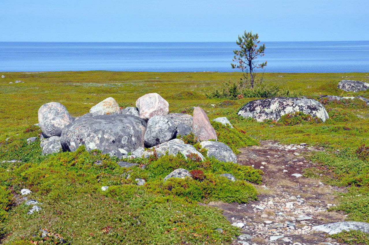 Большой Заяцкий остров, изображение ландшафта.