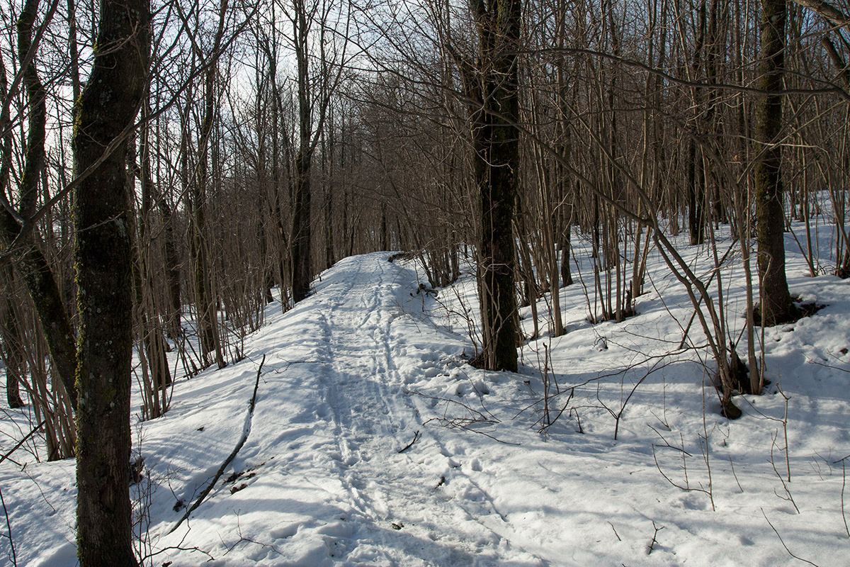 Дудергофские высоты, image of landscape/habitat.