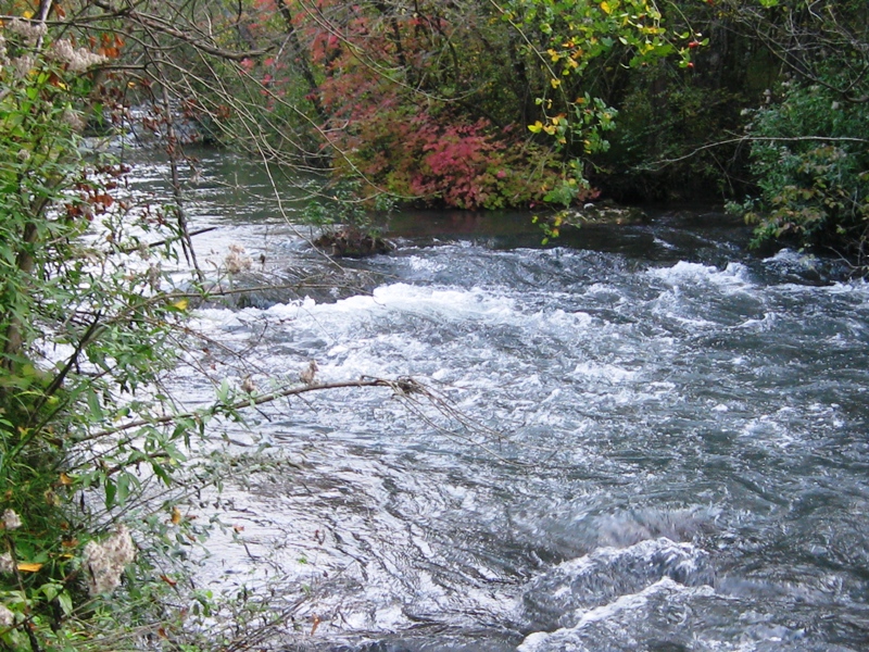 Чернореченский каньон, image of landscape/habitat.