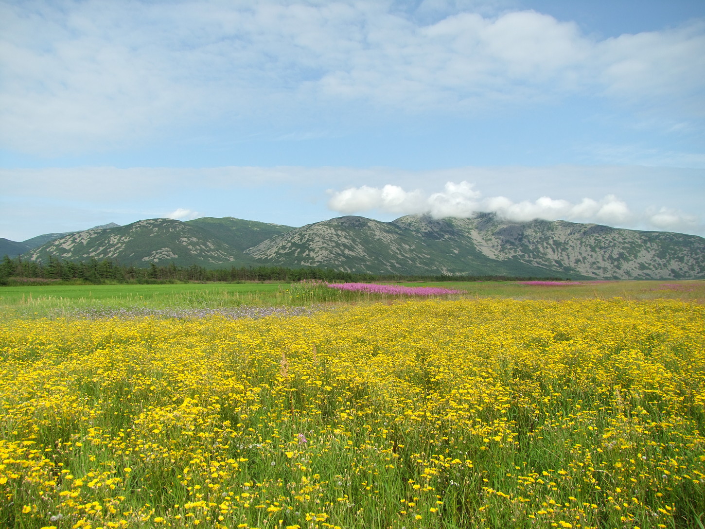 Арманское побережье, image of landscape/habitat.