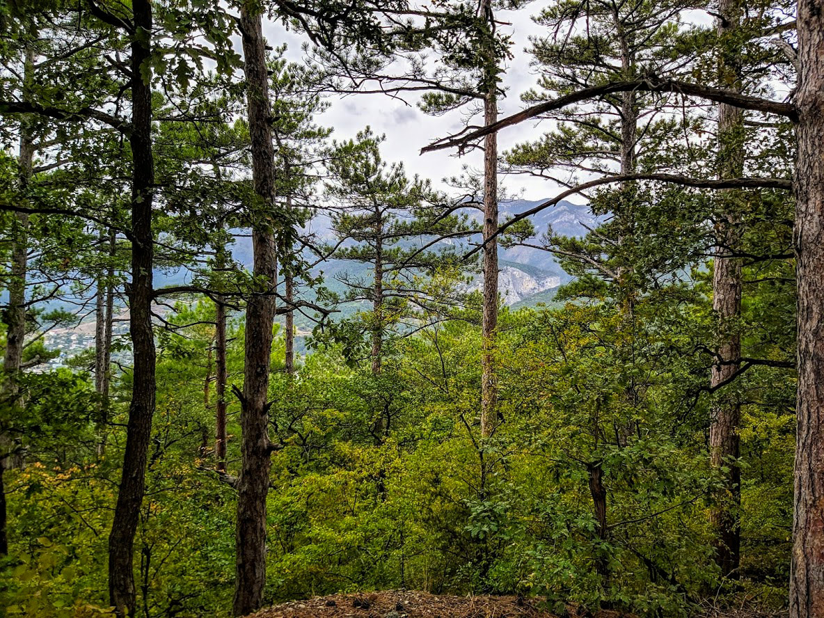 Массандра, image of landscape/habitat.