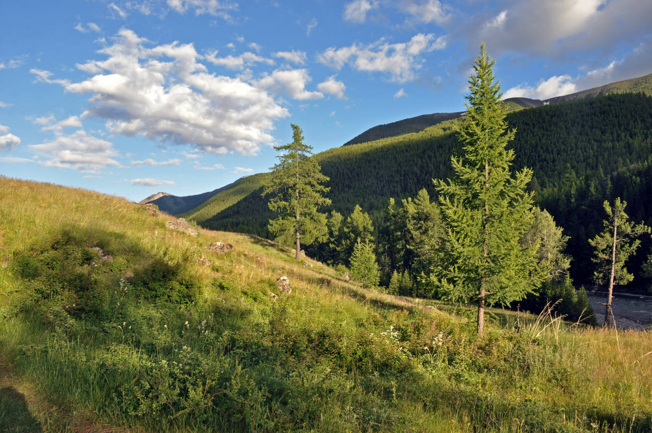 Устье реки Тыдтугем, image of landscape/habitat.