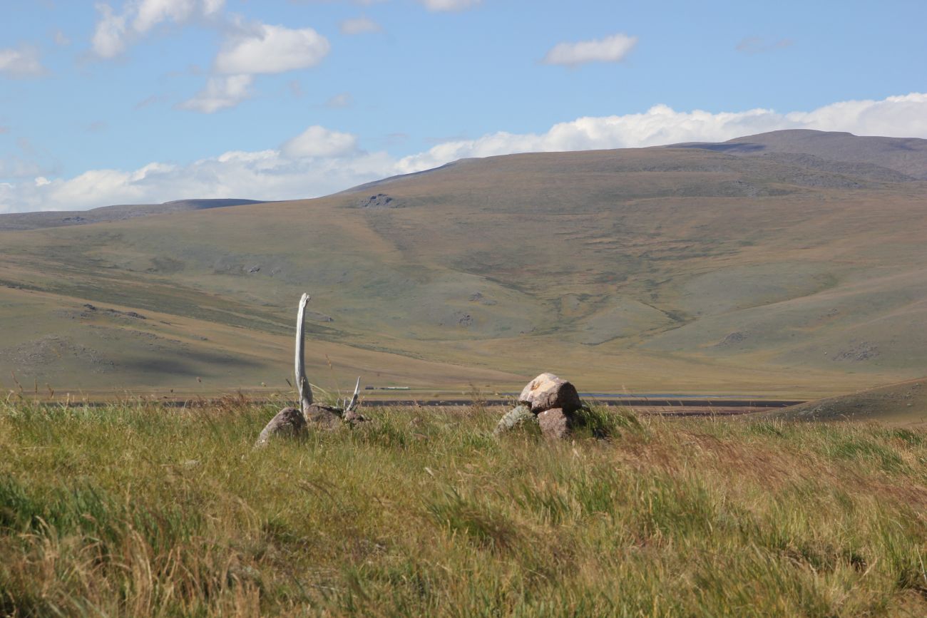 Окрестности стоянки Аргамджи, image of landscape/habitat.