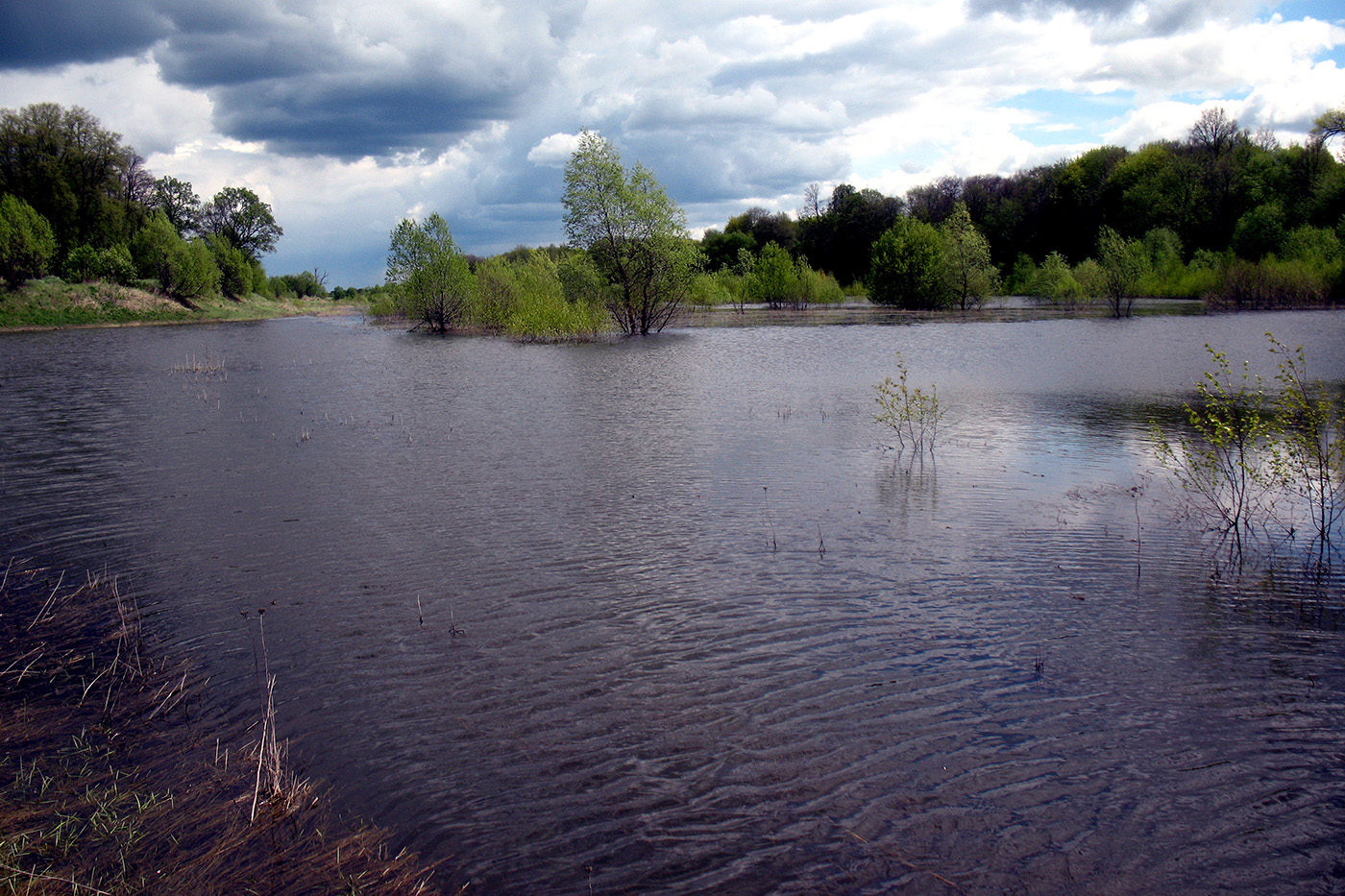 Никифоровская колония, image of landscape/habitat.