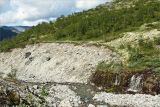 Image of landscape