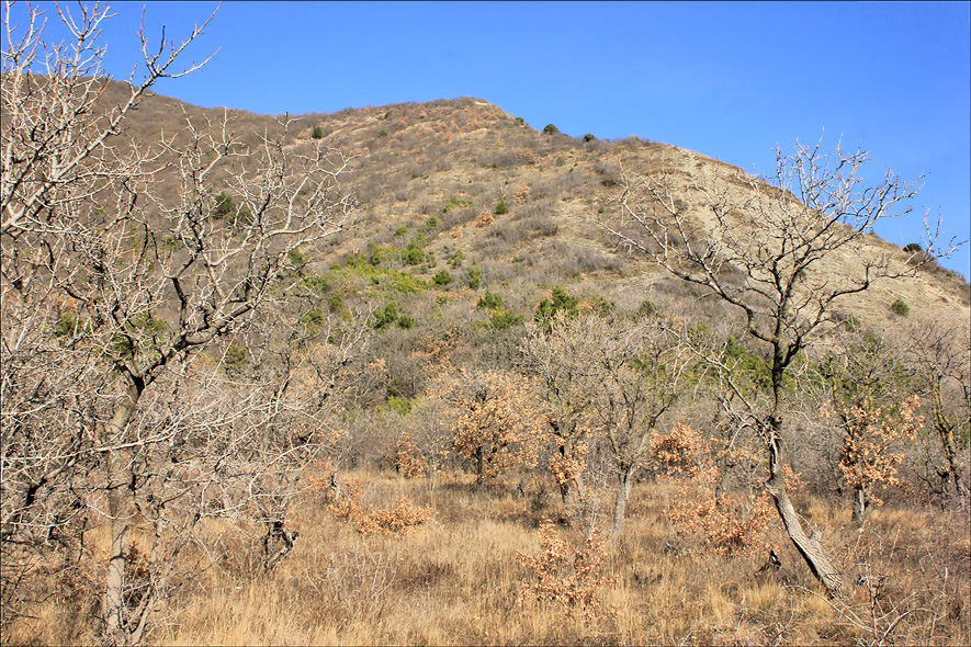 Мыс Мысхако и окрестности, image of landscape/habitat.