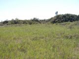 Image of landscape